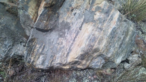 Гигантские зелёные валуны для ландшафтного дизайна весом более 5 тонн купить в Геленджике